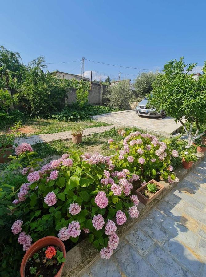 Villa Deart Μπεράτ Εξωτερικό φωτογραφία